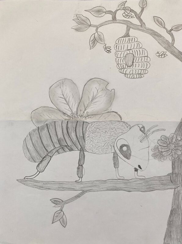 7.2.LK-Metamorphose